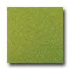 Amtico Amtico Standard Stardust 18 X 18 Stardust Kiwi Vinyl Flooring