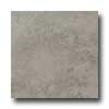 Daltile Daltile Cliff Pointe 18 X 18 Rock Tile  &  Stone