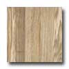 Amtico Amtico Variable Oak 4 1 / 2 X 36 Variable Oak Vinyl Flooring