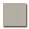 Amtico Amtico Pure Plain 12 X 12 Pure Plain Mortar Vinyl Flooring