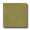 Amtico Amtico Standard Stained Concrete 12 X 12 Stained Concrete Moss V