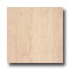 Amtico Amtico White Maple 3 X 36 White Maple Vinyl Flooring
