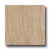 Amtico Amtico American Ash 3 X 36 American Ash Vinyl Flooring