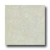 Amtico Amtico Parvia Stone 18 X 18 Parvia Stone Vinyl Flooring