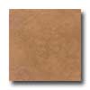 Daltile Daltile Cliff Pointe 18 X 18 Redwood Tile  &  Stone