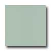 Amtico Amtico Pure Plain 12 X 12 Pure Plain Kelp Vinyl Flooring