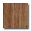 Amtico Amtico Teak 4 1 / 2 X 36 Teak Vinyl Flooring
