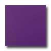 Amtico Amtico Pure Plain 12 X 12 Pure Plain Grape Vinyl Flooring