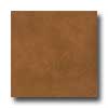 Amtico Amtico Lunar 18 X 18 Lunar Copper Vinyl Flooring