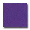 Amtico Amtico Standard Stardust 12 X 12 Stardust Grape Vinyl Flooring