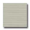 Amtico Amtico Linear 12 X 12 Linear Shale Vinyl Flooring