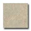 Amtico Amtico Fossil Limestone 12 X 12 Fossil Limestone Vinyl Flooring