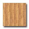 Metroflor Metroflor Solidity 20 - Century Plank Plymouth Vinyl Flooring