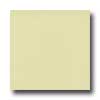 Amtico Amtico Pure Plain 12 X 12 Pure Plain Flax Vinyl Flooring