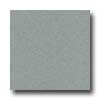 Amtico Amtico Microspec 12 X 12 Microspec Shadow Vinyl Flooring