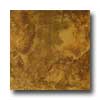 Tilecrest Tilecrest Alicia 6 1 / 2 X 6 1 / 2 Walnut Tile  &  Stone