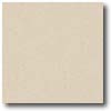 Daltile Daltile Porcealto (textured) 8 X 8 Beige Tile  &  Stone