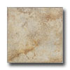 Tesoro Tesoro Salus 6.5 X 6.5 Saturna Beige Tile  &  Stone