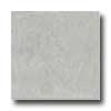 Portobello Portobello Galleria 12 X 12 Polished Ticiano Grigio Tile  &  Stone