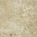 Megatrade Corp. Megatrade Corp. Hymera 6 X 6 Noce Tile  &  Stone