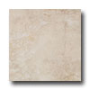 Emser Tile Emser Tile Lights 21 X 21 Mist Tile  &  Stone
