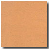 Armstrong Armstrong Colorette Apricot Vinyl Flooring