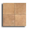American Olean American Olean San Martino 6 X 6 Giallo Tile  &  Stone