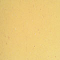 Forbo Forbo Marmoleum Piano Golden Glow Vinyl Flooring