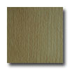 Congoleum Congoleum Endurance Plank 4 X 36 Natural Vinyl Flooring