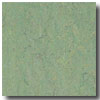 Armstrong Armstrong Linorette Green Vinyl Flooring