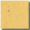 Armstrong Armstrong Colorette Old Gold Vinyl Flooring