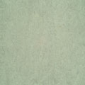 Forbo Forbo Marmoleum Fresco Mint Green Vinyl Flooring