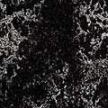 Forbo Forbo Marmoleum Real 1 / 8 Black Vinyl Flooring