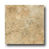 Domco Domco Builders Choice - Caravelle 12153 Vinyl Flooring