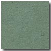Armstrong Armstrong Colorette Dark Green Vinyl Flooring