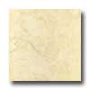 Portobello Portobello Atlantica 20 X 20 Crema Tile  &  Stone