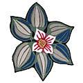 American Cottage Rugs American Cottage Rugs Shaped Mayflower Area Rugs