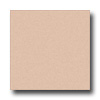 Milliken Milliken Harmony 5 X 8 Ecru Area Rugs