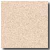 Armstrong Armstrong Possibilities Petit Point Cappuccino Rose Vinyl Floori