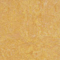 Forbo Forbo Marmoleum Fresco Natural Com Vinyl Flooring