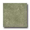 Cinca Cinca Limestone 20 X 20 Rectified Moss Tile  &  Stone