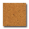 APC Cork Apc Cork Floor Tile 4.8mm Nogar Cork Flooring