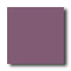 Daltile Daltile Festiva 3 X 6 Crocus Tile  &  Stone
