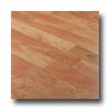 Tarkett Tarkett Solutions Cognac Maple Laminate Flooring