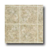 Tarkett Tarkett Fiber Floors Fresh Start - Heartland Santa Fe Brown Viny