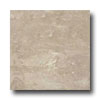 Ergon Tile Ergon Tile Alabastro Evo 12 X 12 Polished Rectified Grigio Tile