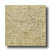 Milliken Milliken Tesserae Essentials Canvas Carpet Tiles