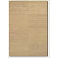 Couristan Couristan Super Indo-natural 10 X 13 Monto Natural Beige Area Ru