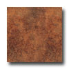 Armstrong Armstrong Perspectives Sheet Oxidized Red Vinyl Flooring