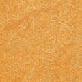 Forbo Forbo Marmoleum Fresco Golden Saffron Vinyl Flooring